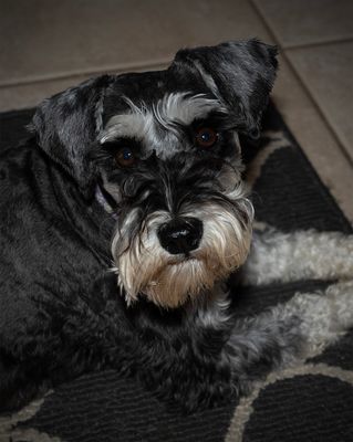 miss Kona