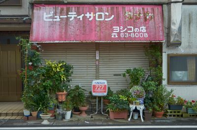 g13/80/606380/3/175802687.d8ffd63c.JPEG