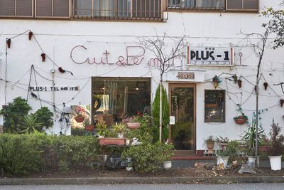 Plus-1
