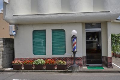 Riyo Asahi