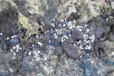 g13/80/606380/3/175875175.c57e9df8.JPEG