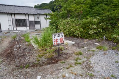 g13/80/606380/3/175875199.c6f59716.JPEG