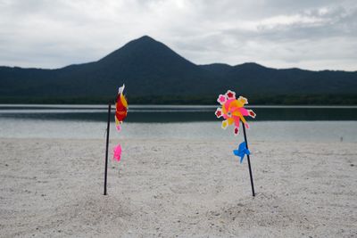g13/80/606380/3/175875212.f18dd7c0.JPEG