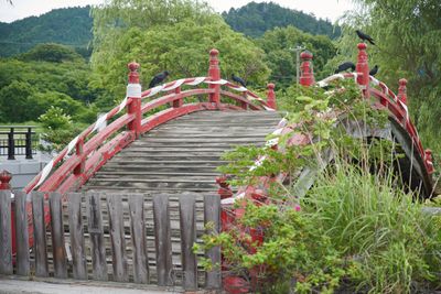 g13/80/606380/3/175875260.d68b5737.JPEG