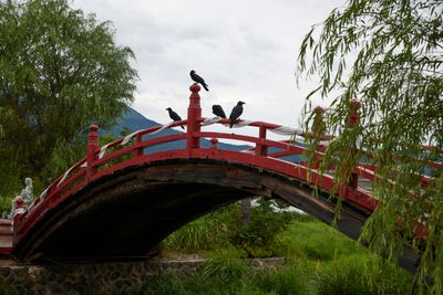 g13/80/606380/3/175875263.e0634b24.JPEG
