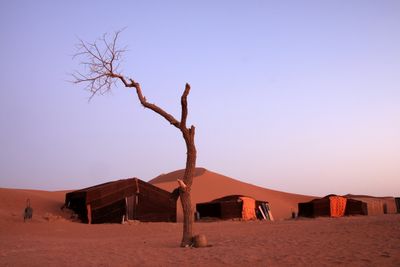 Atta desert camp 