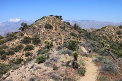 Panorama Loop Trail