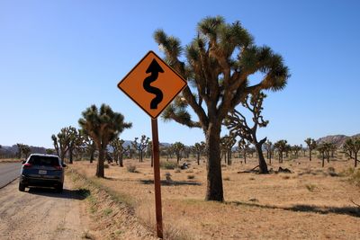 Joshua Tree National park