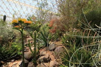 Biosphere 2