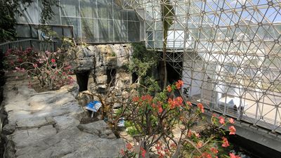 Biosphere 2 - Savannah