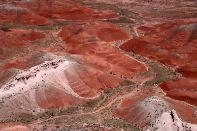 Petrified Forest National Park