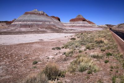 Petrified Forest National Park