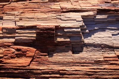 Petrified Forest National Park