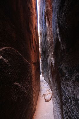 The Needles, Canyonlands National park