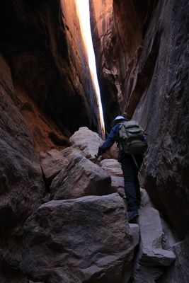 The Needles, Canyonlands National park