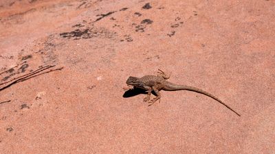 Canyonlands National park