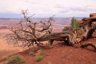 Dead Horse Point State Park