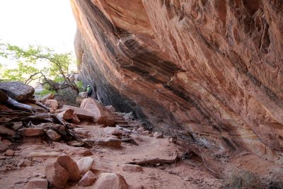 Natural Bridges National Monument