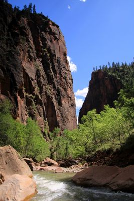 Zion National Park