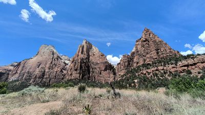 Three Patriarchs