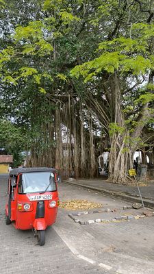 Tuk Tuk