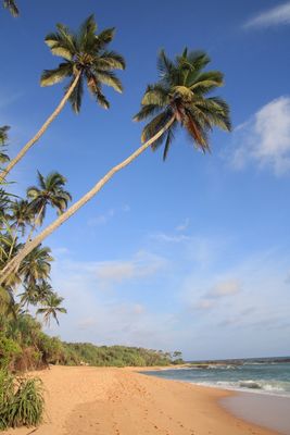 Rekawa Beach