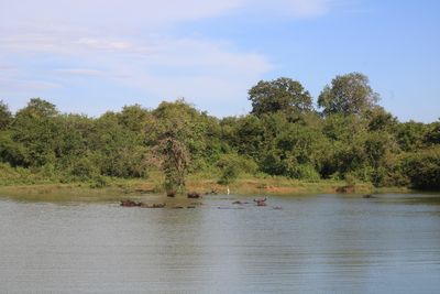 Udawalawe National Park