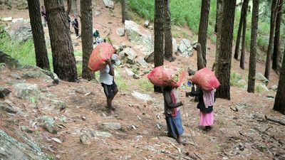 Tea pickers