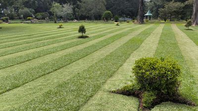 Victoria Park