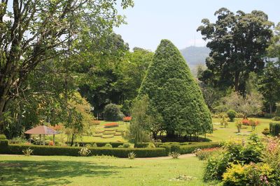 Peredeniya, Royal Botanic Gardens