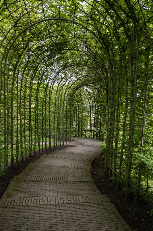 Alnwick Garden 3 