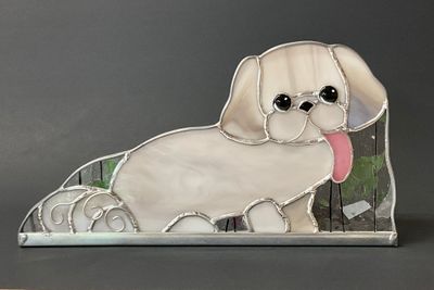 Sydney/Dog