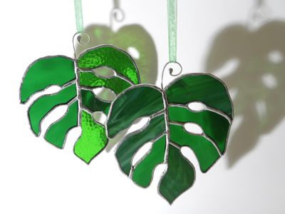 Monstera Leaves