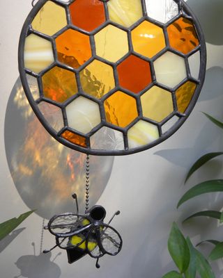 Honeycomb and Bee