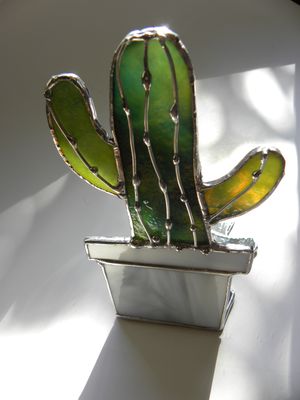 Cacti