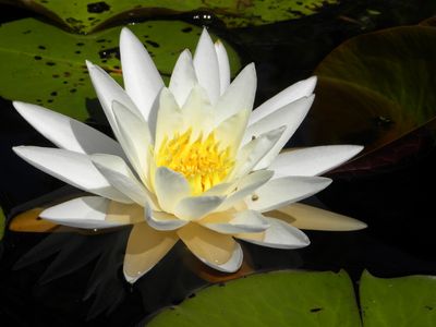 DSCN7159.JPG