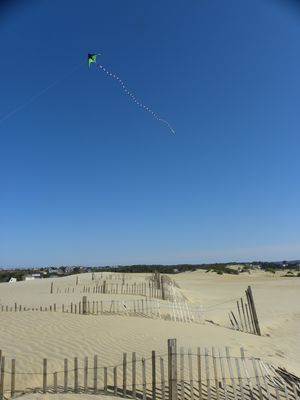 DSCN7235.JPG