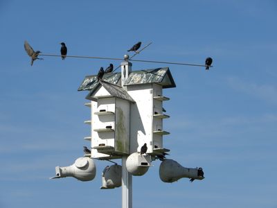 DSCN7273.JPG