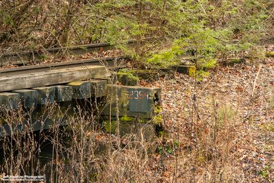 Bridge 2354