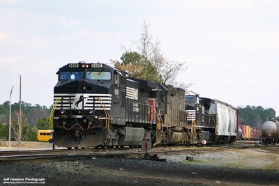 Selma