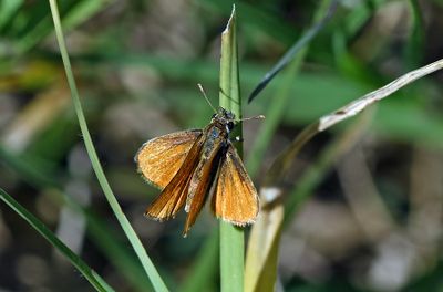 Recently Processed Photos