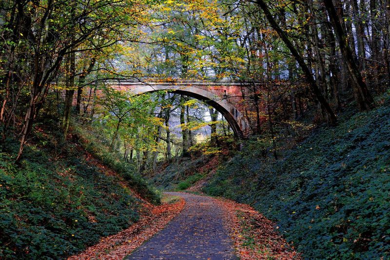 Rails to trails bridge  15.JPG