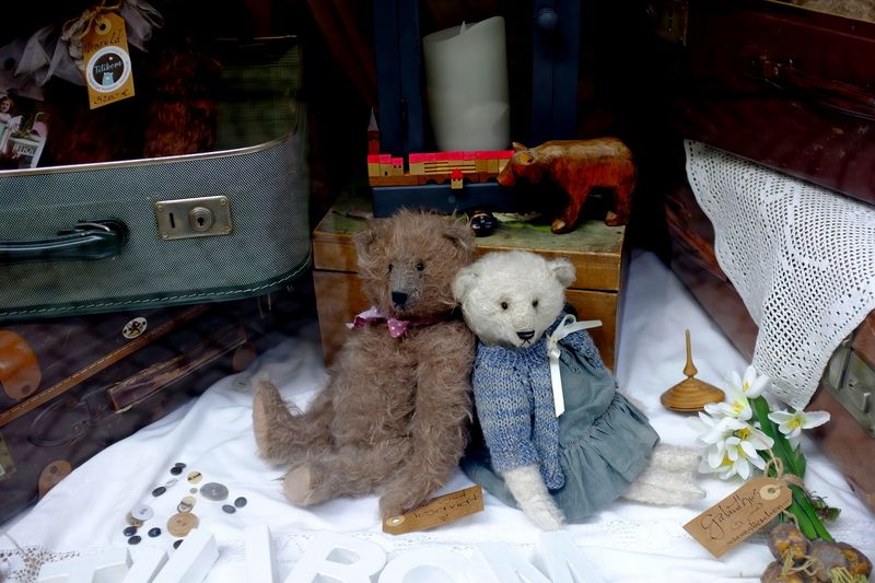 Bears Window