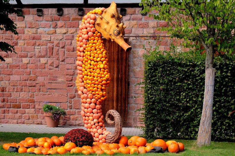 Pumpkin Art - Sea Horse
