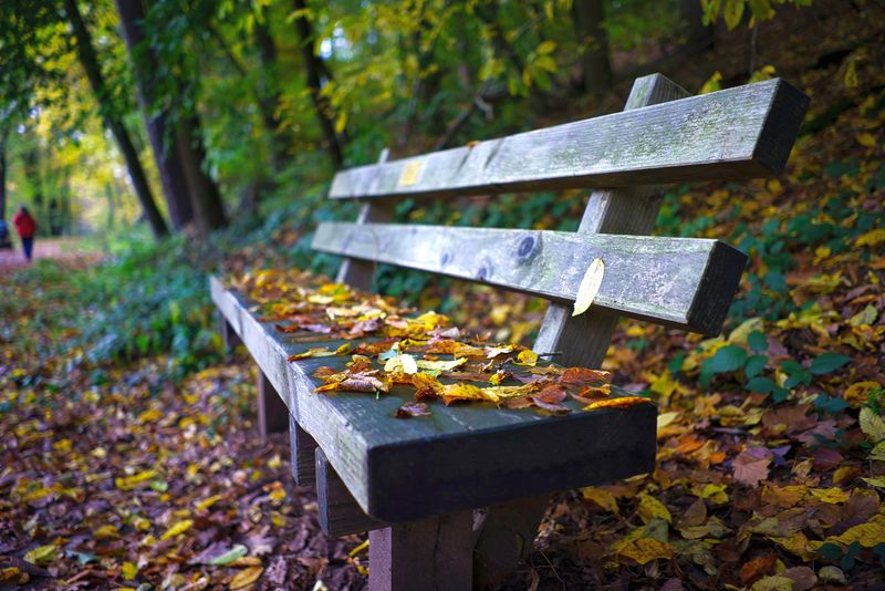 Covered Bench