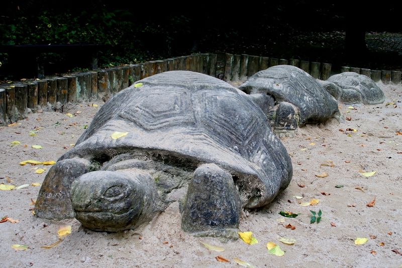 Stone Turtles