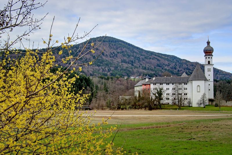 Abbey in Spring 