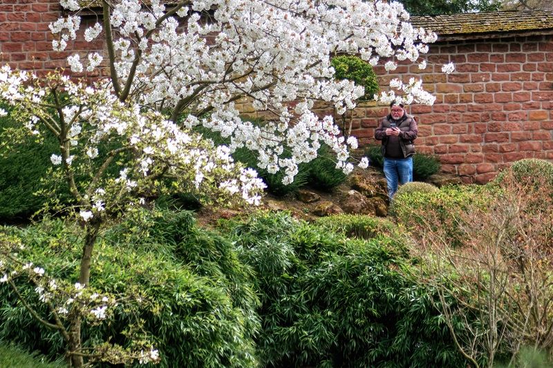 Japanese Garden Visitor