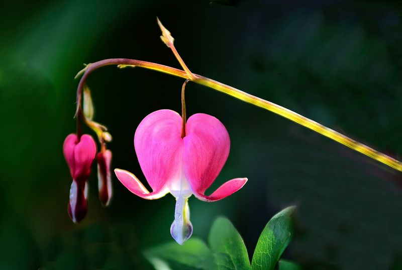 Open Your Heart