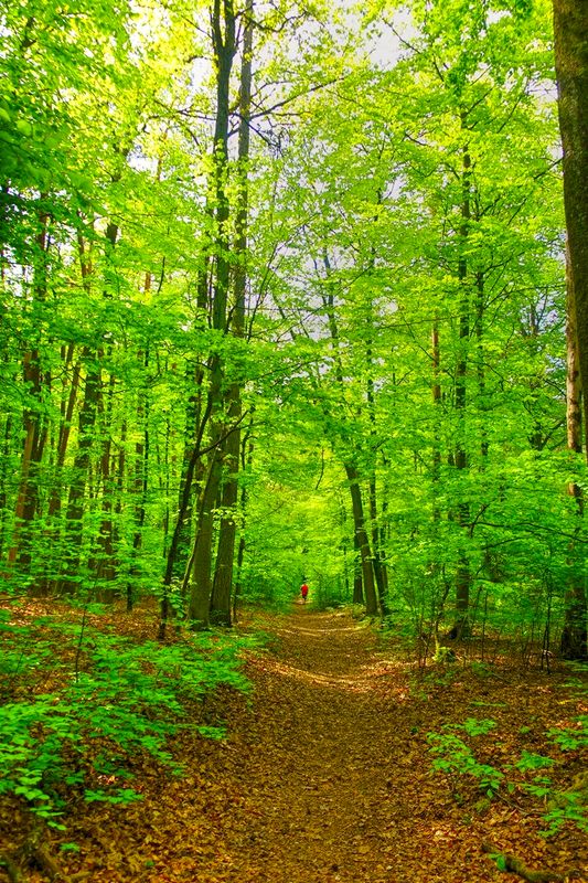 May Day Walk 